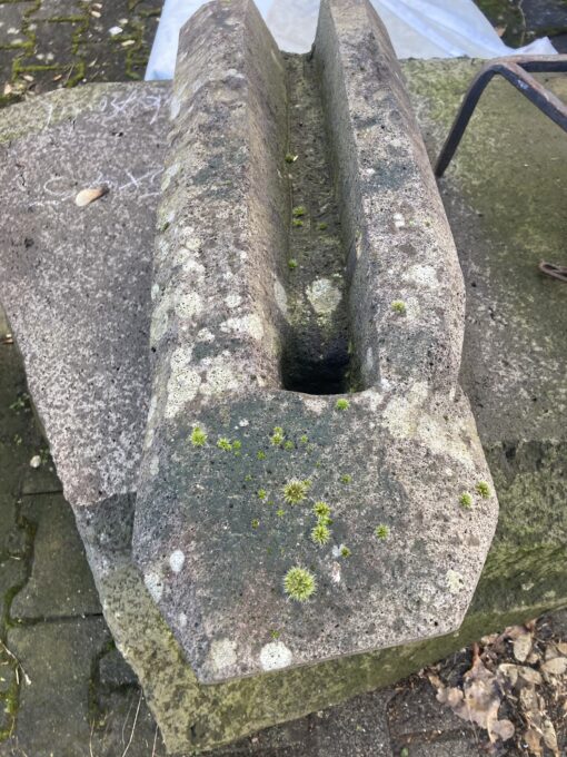 Wasserspeier aus Basaltlava 55cm zum Einmauern – Bild 2